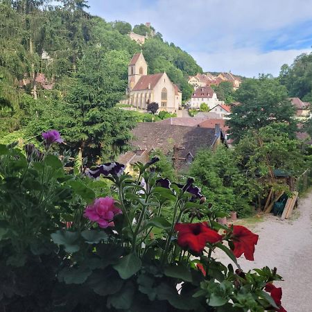 Le Nid Du Caveau Villa Ferrette Bagian luar foto