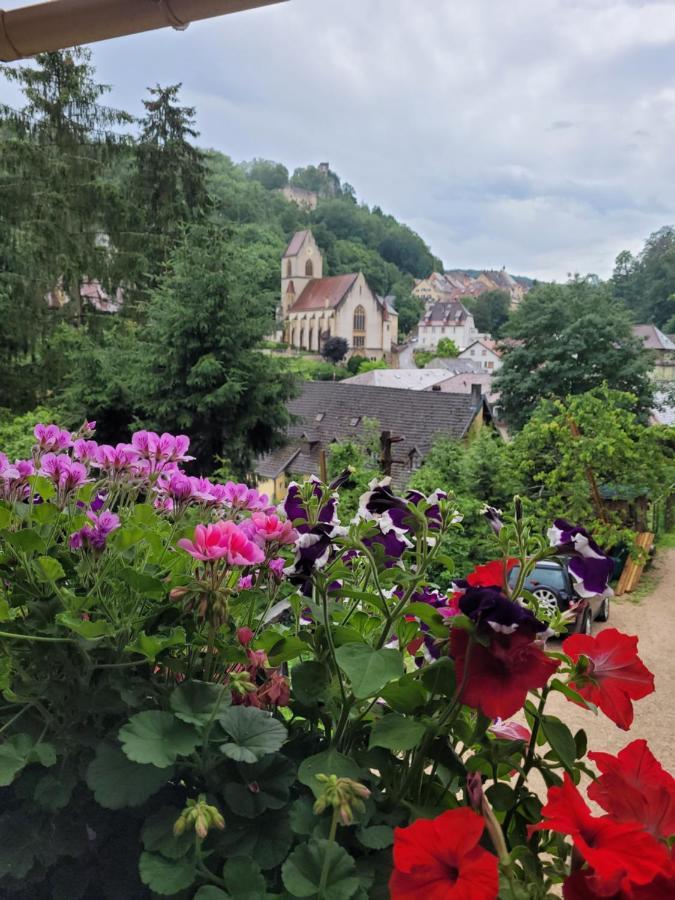 Le Nid Du Caveau Villa Ferrette Bagian luar foto